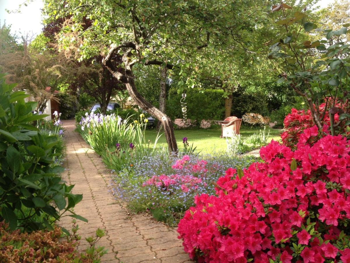 ChauvéLa Caillerie住宿加早餐旅馆 外观 照片